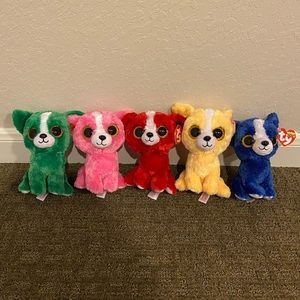 Bundle of 5 Small Chihuahua Beanie Boos🐶